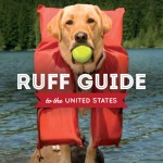 Ruff Guide Cover - Low Rez (1)